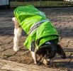 Reflecta-Glow Reflective Waterproof Adjustable Pvc Pet Raincoat - X-Small