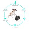 PawPartner Dog Tumbler Interactive Toys Increases Pet IQ Slow Feeder Labrador French Bulldog Swing Training Food Dispenser - Blue - China