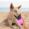 Portable Travel Cat Dog Indoor And Outdoor Pet Supplies - Pink - Pet Supplies