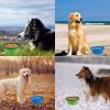 Travel Walking Pet Supplies Portable Cat Dog Bowls Water Feeder - Green - 350 mL