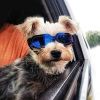 Dog Goggles Small Dog Sunglasses UV Protection Big Cat Glasses Fog/Windproof Outdoor Doggy Eyewear with Adjustable Band for Small Dogs - Blue